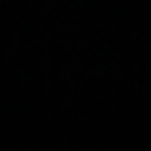 Meet your Posher, Janaya